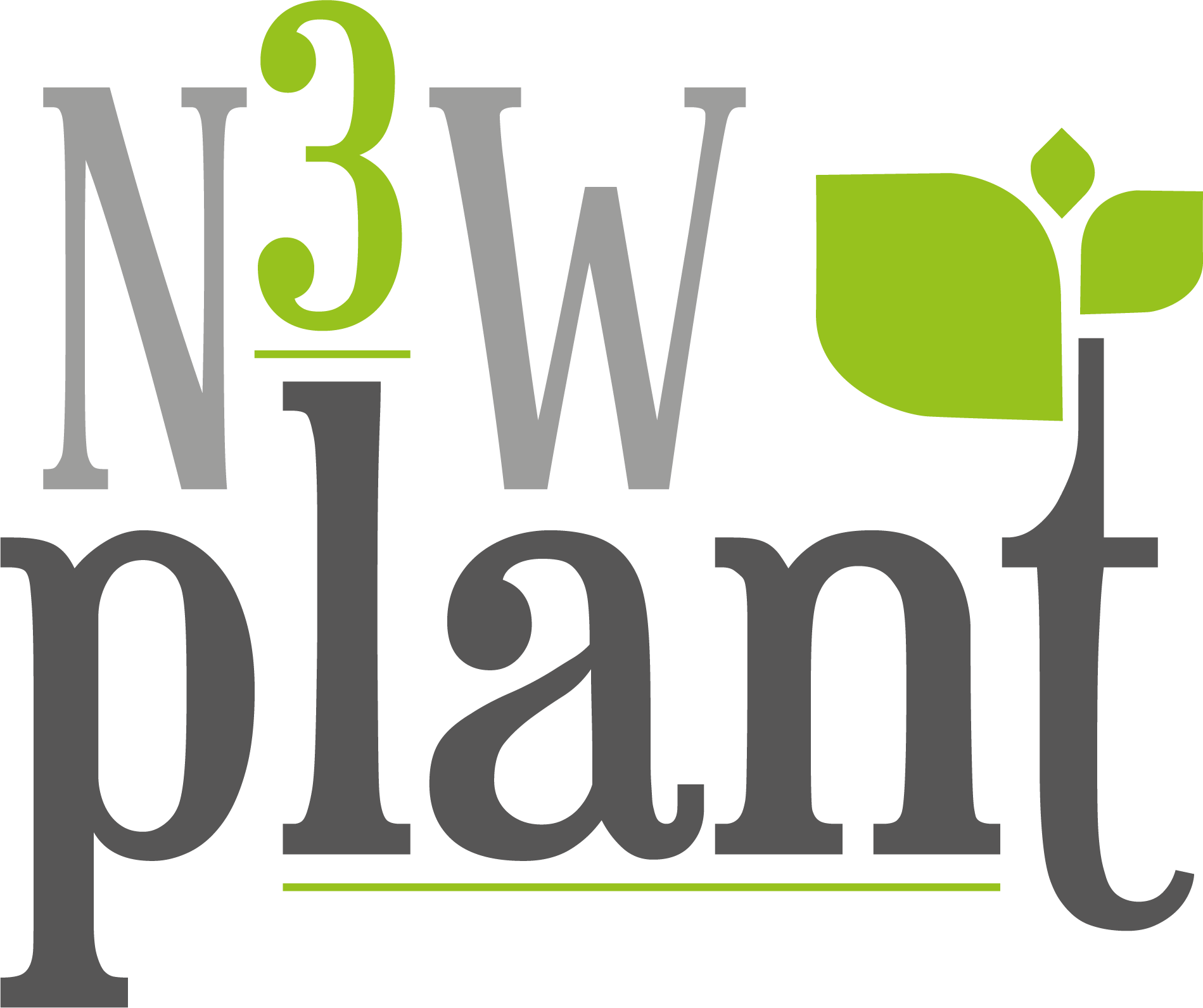 N3W PLANT