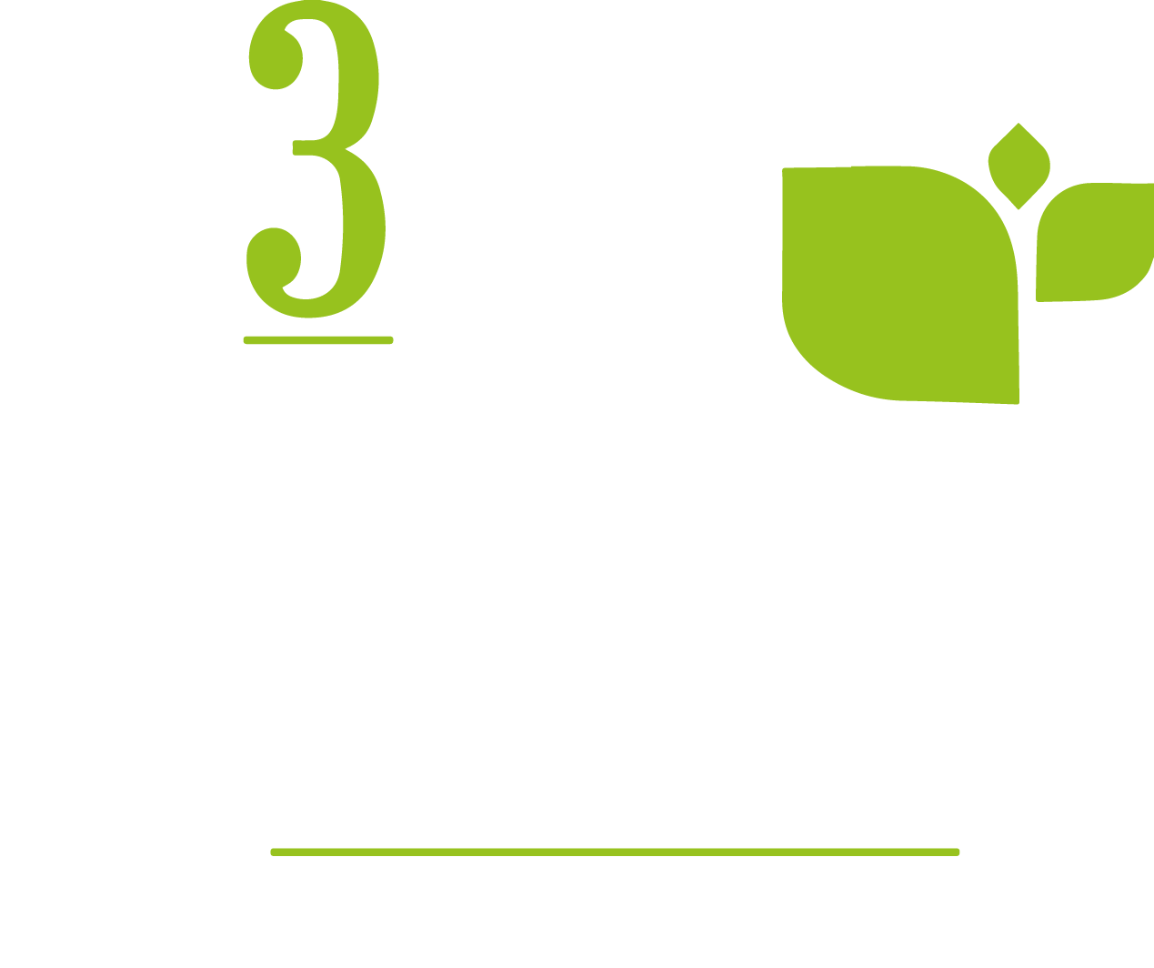 n3wplant.nl